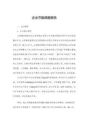 企业节能调查报告.docx