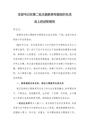 2023年主题教育专题组织生活会述职报告（党支部书记）.docx