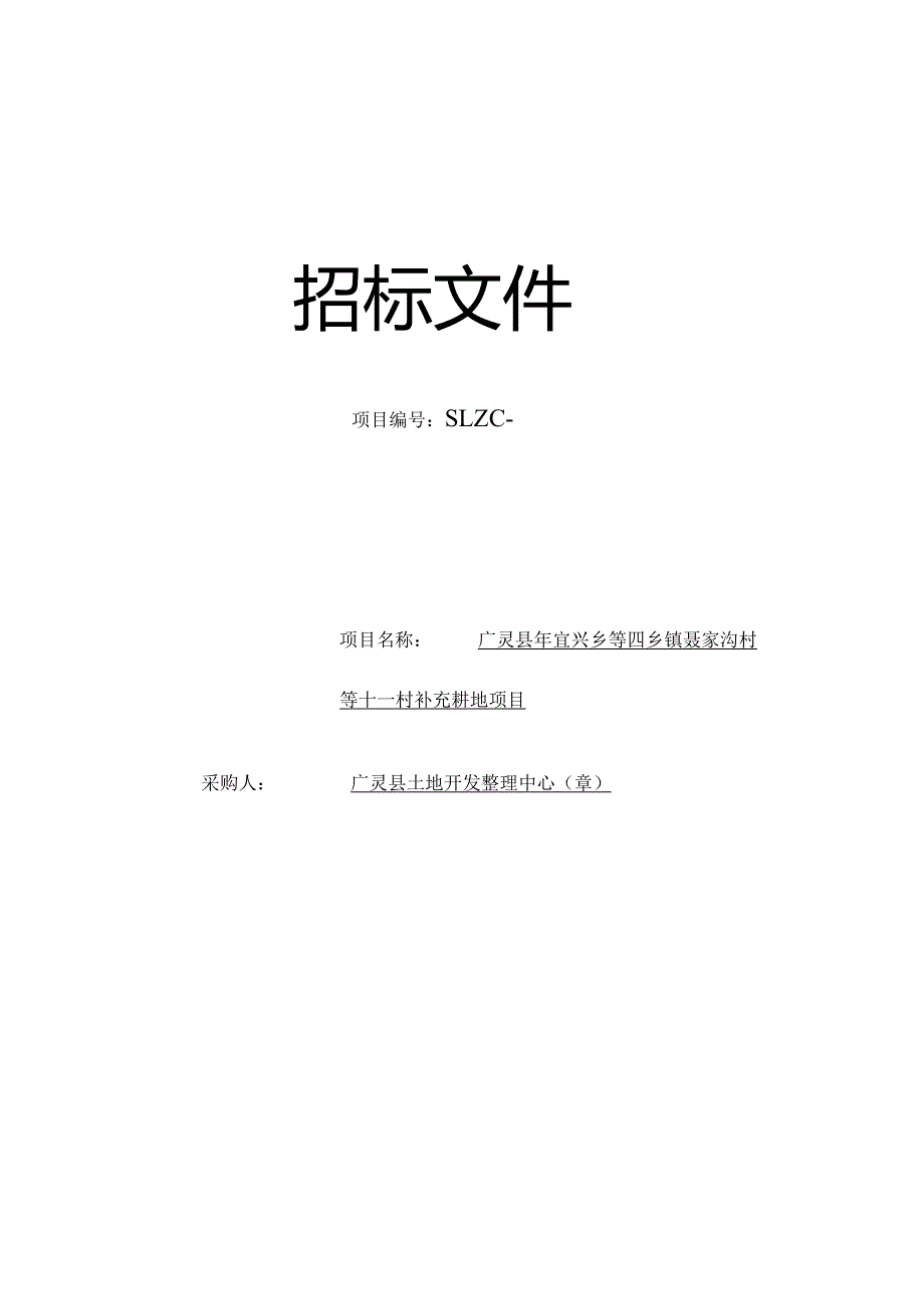 补充耕地项目招投标书范本.docx_第2页