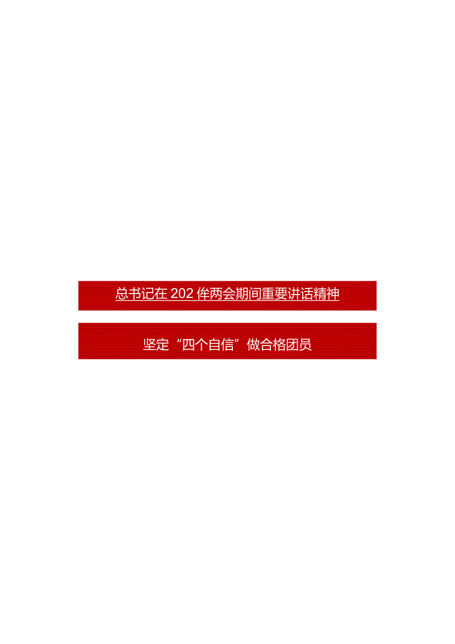 2024年坚定“四个自信”全过程人民民主的生动实践团组织主题团日活动.docx_第3页