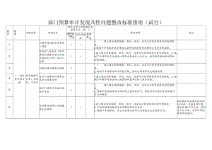 部门预算审计发现共性问题整改标准指南.docx