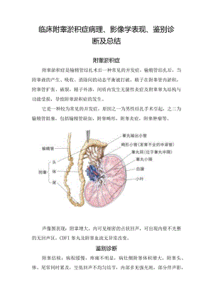 临床附睾淤积症病理、影像学表现、鉴别诊断及总结.docx