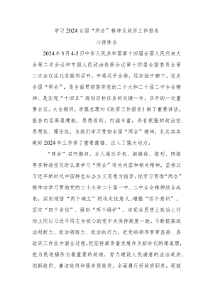 学习2024全国“两会”精神及政府工作报告心得体会.docx