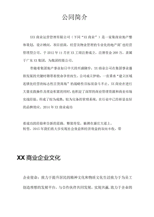 商业公司简介.docx