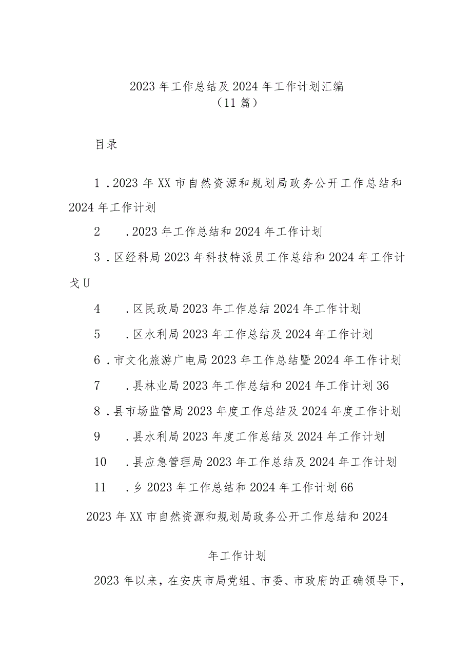 (11篇)2023年工作总结及2024年工作计划汇编.docx_第1页