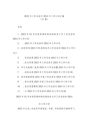 (11篇)2023年工作总结及2024年工作计划汇编.docx