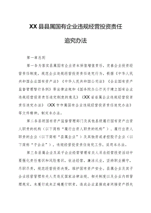 XX县县属国有企业违规经营投资责任追究办法.docx