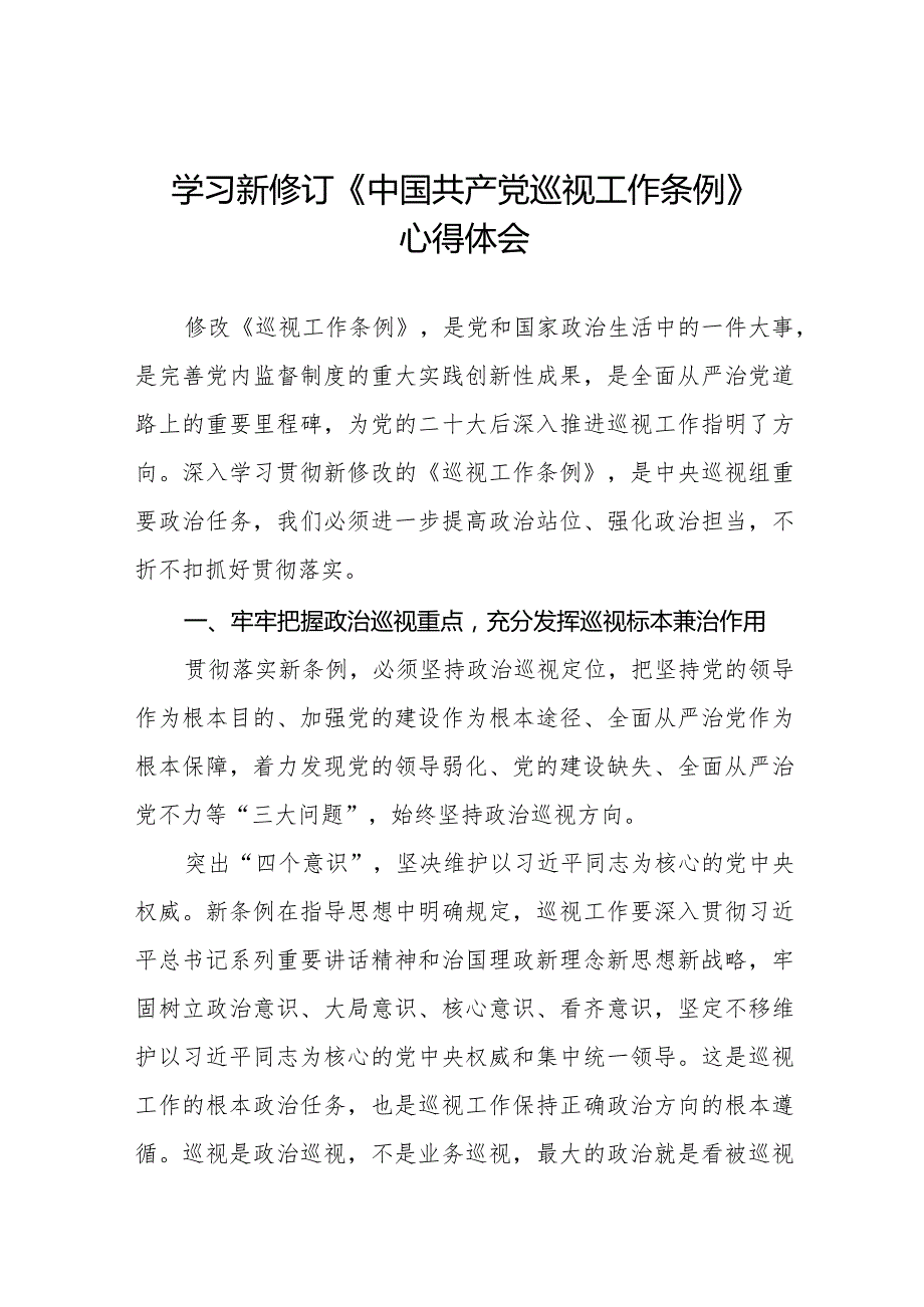 2024版新修订《中国共产党巡视工作条例》学习体会研讨发言稿(五篇).docx_第1页