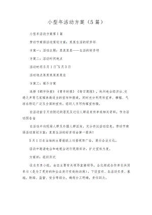 小型年活动方案（5篇）.docx