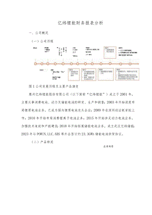 亿纬锂能财务报表分析.docx