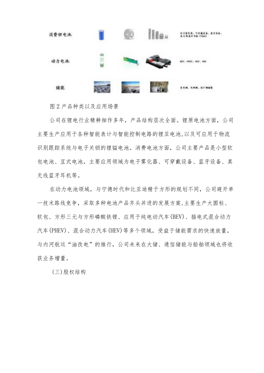 亿纬锂能财务报表分析.docx_第2页