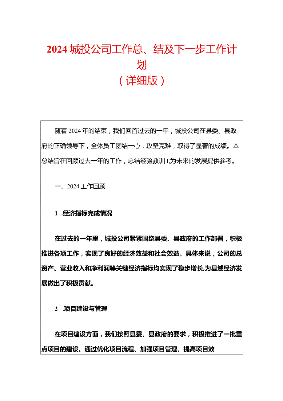 2024城投公司工作总结及下一步工作计划（详细版）.docx_第1页