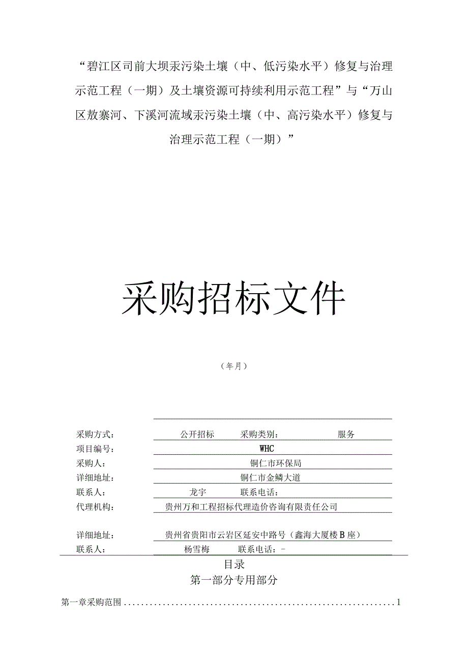 汞污染土壤(中、低污染水平)修复与治理示范工程招投标书范本.docx_第2页