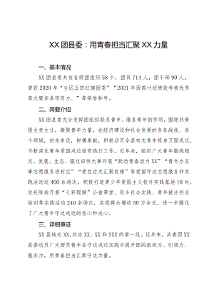 XX团县委申报全国五四红旗团委事迹材料.docx