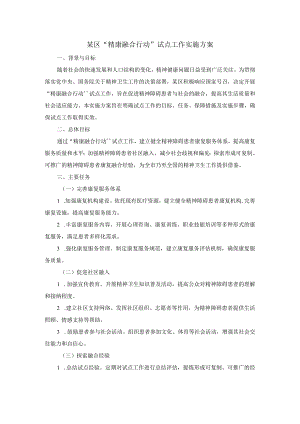 某区“精康融合行动”试点工作实施方案.docx