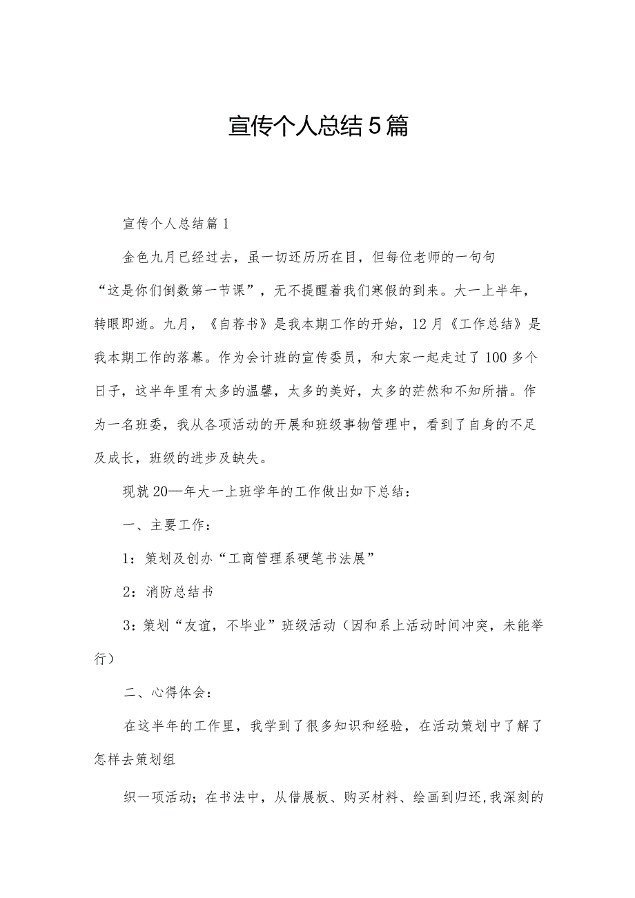 宣传个人总结5篇.docx_第1页