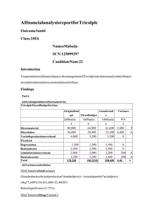 HND 财政预算报告 你不过我从此消失!.docx