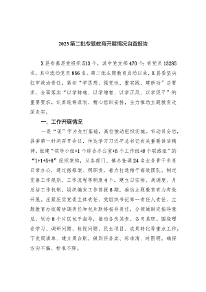 第二批专题教育开展情况自查报告(9篇合集）.docx