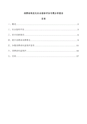 消费结构优化社会指标评估专题分析报告.docx