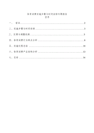 体育消费实施步骤与时间安排专题报告.docx