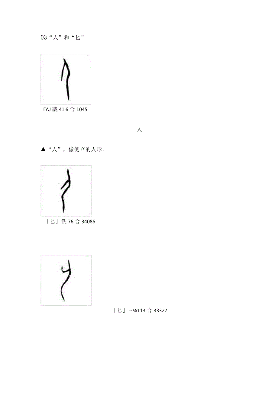 甲骨文中易混淆的字（上篇）.docx_第3页