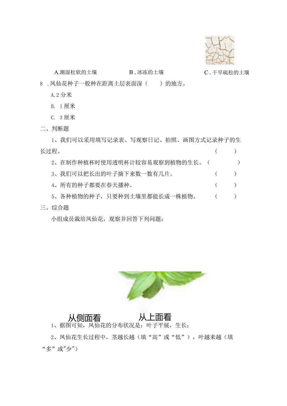 1-2 种植凤仙花（习题）四年级下册科学 教科版.docx_第2页