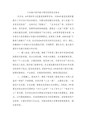 乡村振兴组织振兴建设经验亮点做法.docx