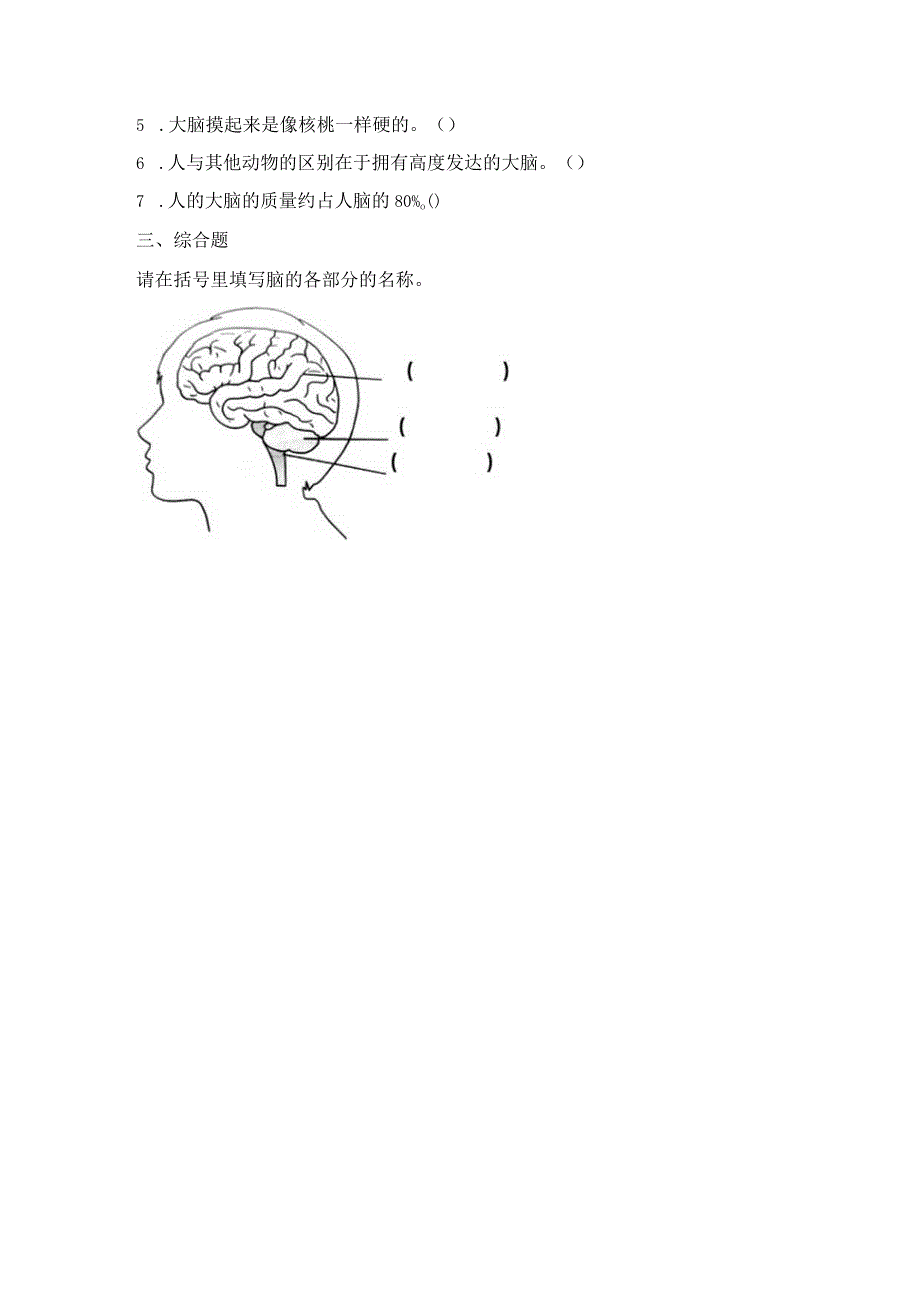 19 我们的大脑（练习）苏教版科学五年级上册.docx_第2页