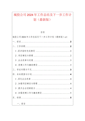 城投公司2024年工作总结及下一步工作计划（最新版）.docx