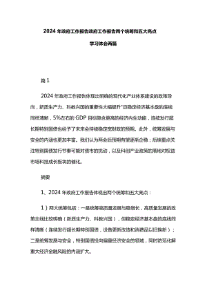 2024年政府工作报告政府工作报告两个统筹和五大亮点学习体会两篇.docx