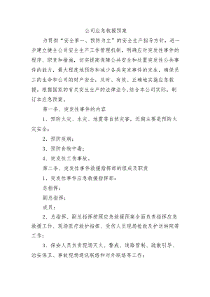 公司应急救援预案.docx