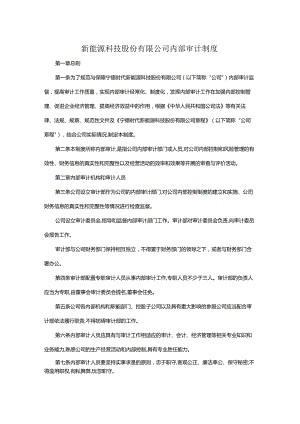 新能源科技股份有限公司内部审计制度.docx