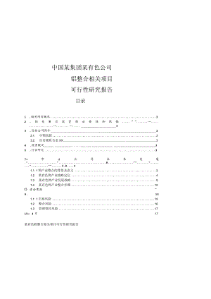 X有色钨整合项目可行性研究报告－战略部分.docx