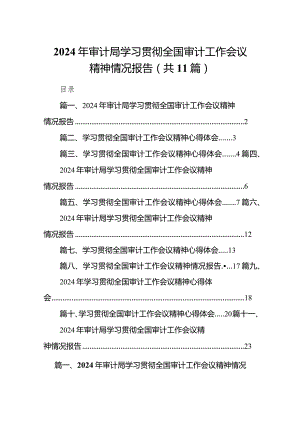 （11篇）2024年审计局学习贯彻全国审计工作会议精神情况报告汇编.docx