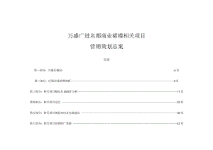 某商业裙楼项目概况及招商策略.docx