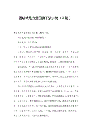 团结就是力量国旗下演讲稿（3篇）.docx