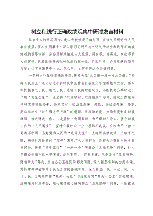 树立和践行正确政绩观集中研讨发言材料.docx