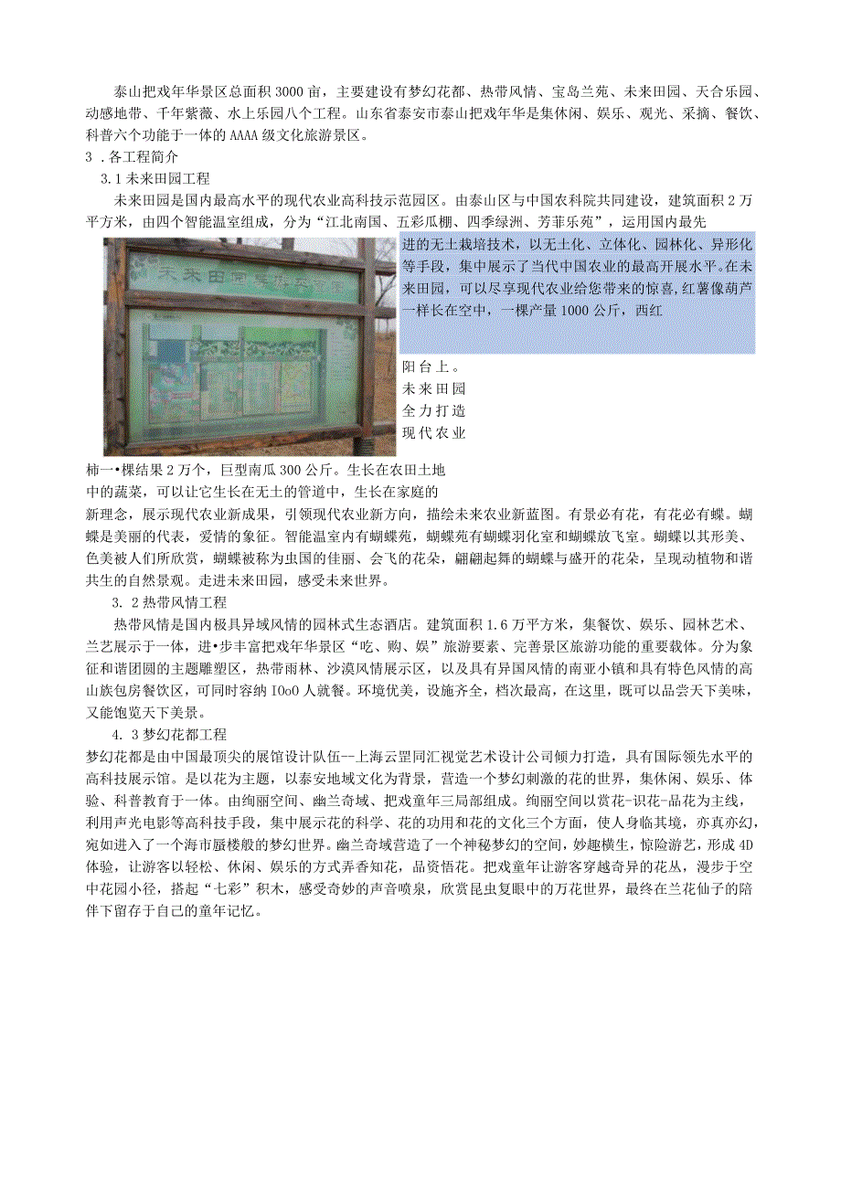 泰安市花样年华景区旅游分析.docx_第2页