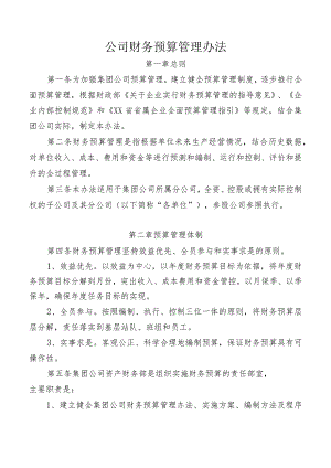 公司财务预算管理办法.docx