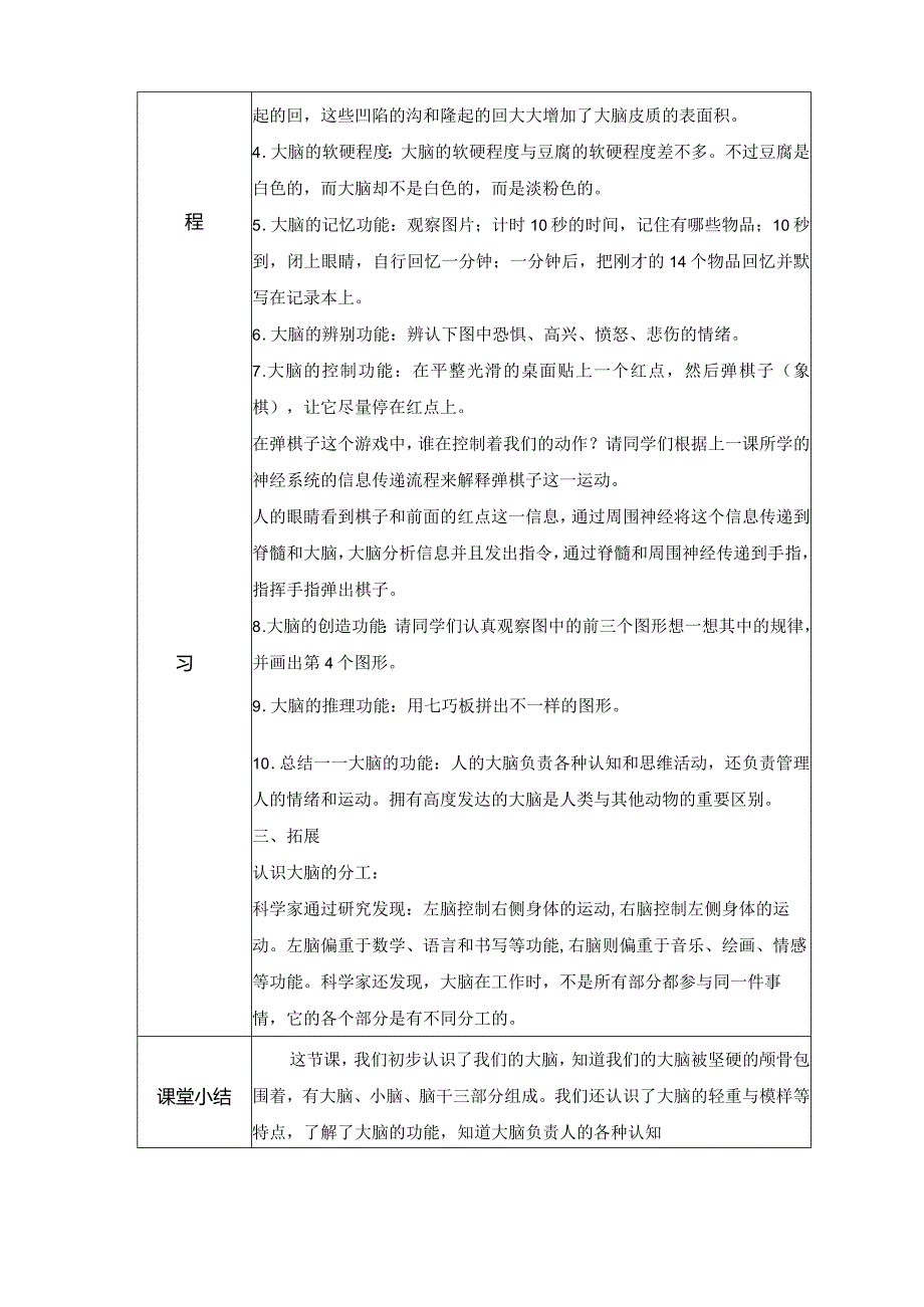 19 我们的大脑（教案）苏教版科学五年级上册.docx_第2页