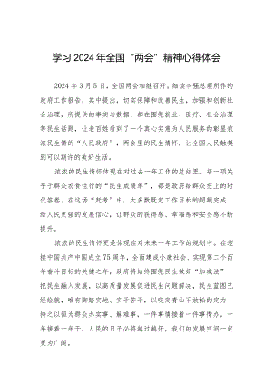 2024年两会精神学习心得体会30篇.docx