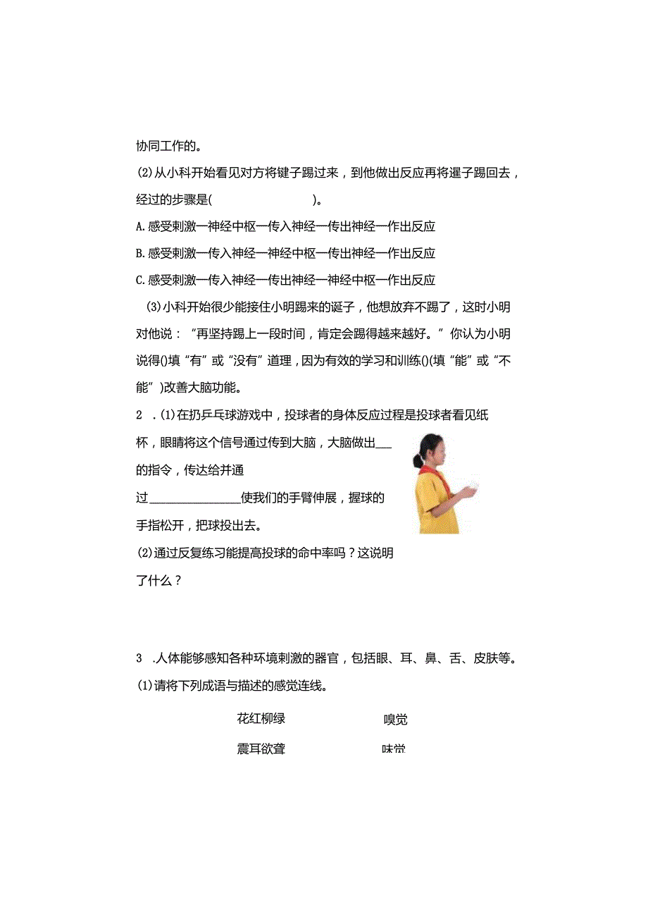 五年级科学上册4-5课《身体的“联络员”》习题.docx_第3页