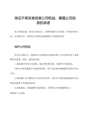 保证不再发表损害公司权益、暴露公司信息的承诺.docx