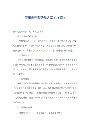 青年志愿者活动方案（29篇）.docx