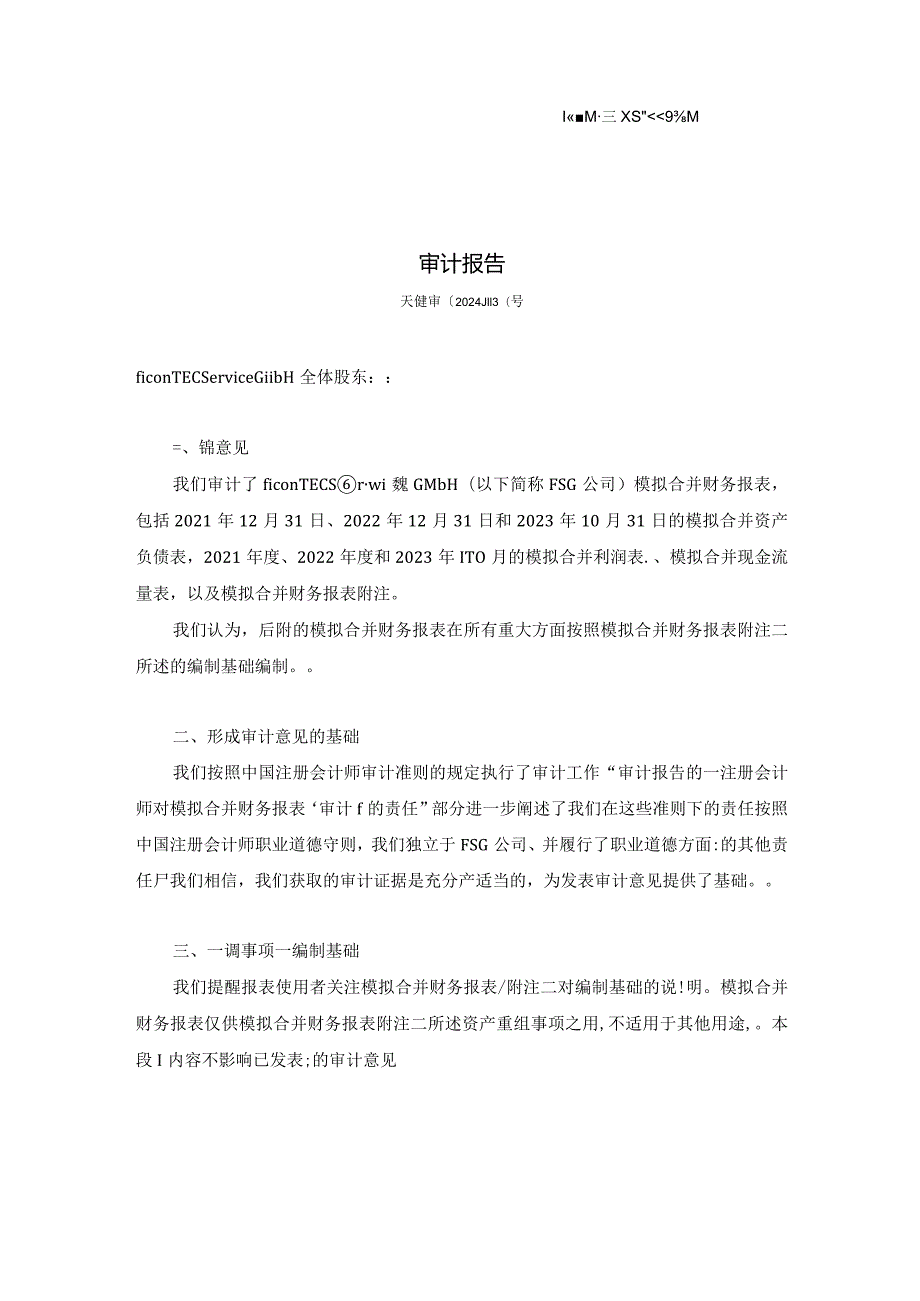 罗博特科：天健审〔2024〕113号-231031FSG和FAG模拟合并审计报告.docx_第2页