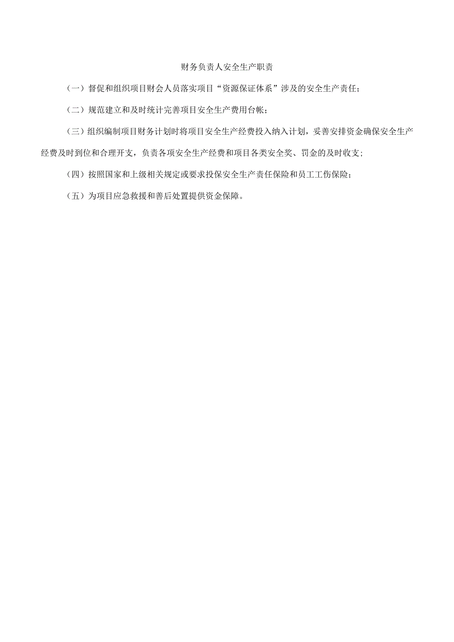 财务负责人安全生产职责.docx_第1页