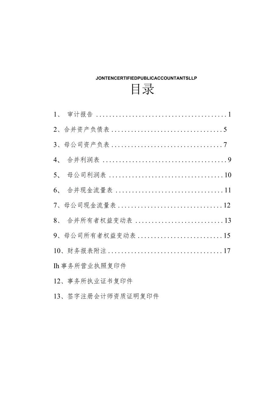 帝科股份：2023年年度审计报告.docx_第2页