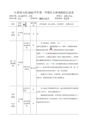 幼儿园：自主游戏跟踪式观察记录（11月胡以琳）.docx