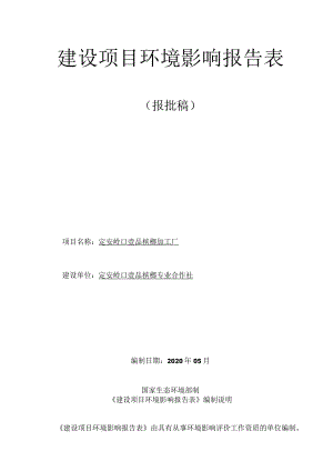 定安岭口壹品槟榔加工厂环评报告.docx