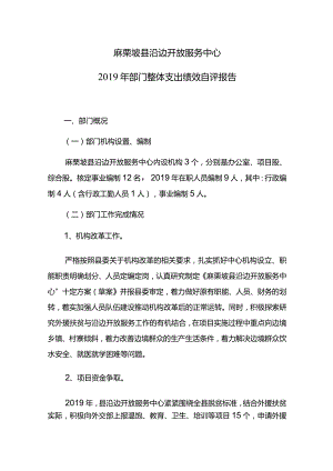 麻栗坡县沿边开放服务中心2019年部门整体支出绩效自评报告.docx